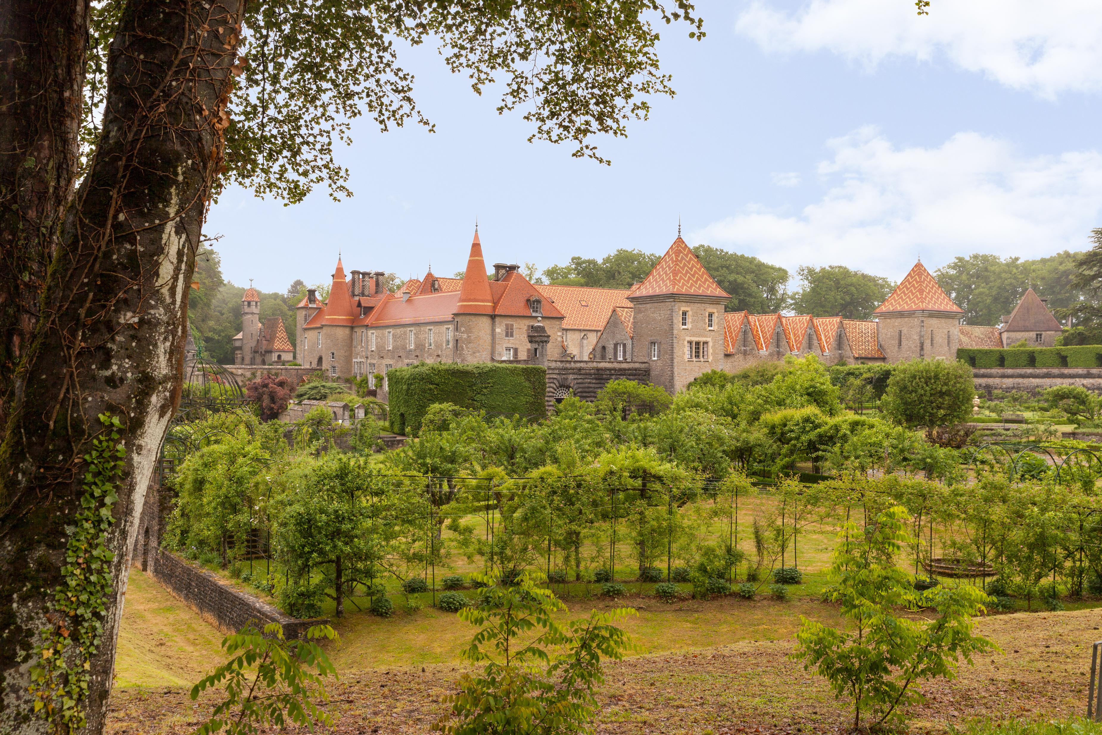 Chateau De Bournel Cubry Eksteriør billede